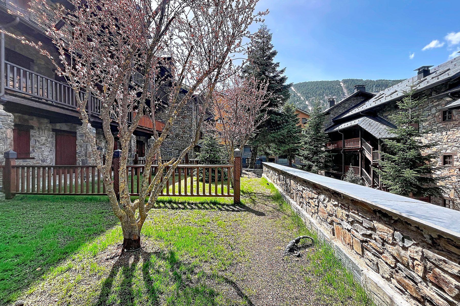 1-bedroom flat for rent in El Tarter, Canillo · 53 of 60