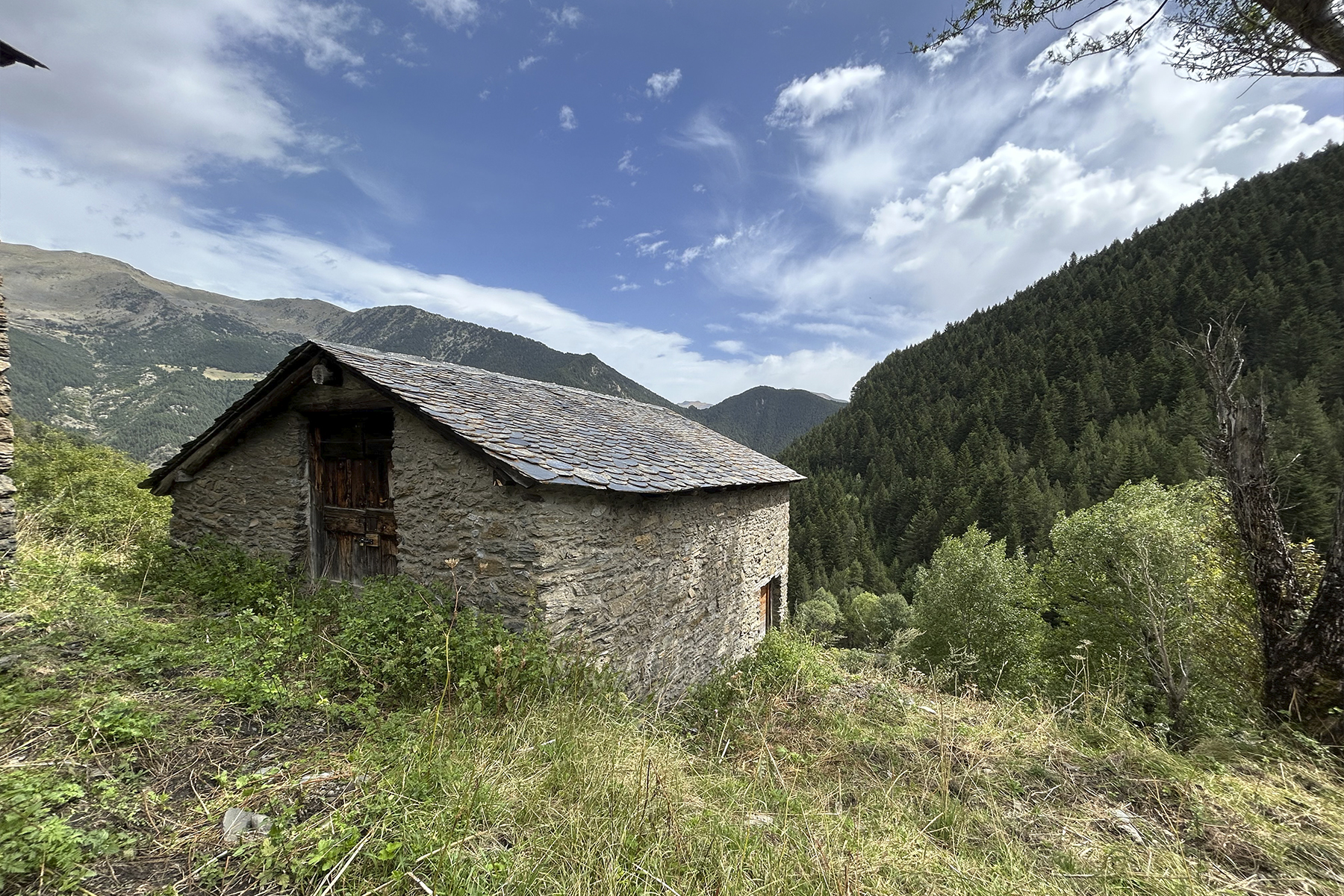 Exclusiu terreny amb bordes per comprar a Arinsal