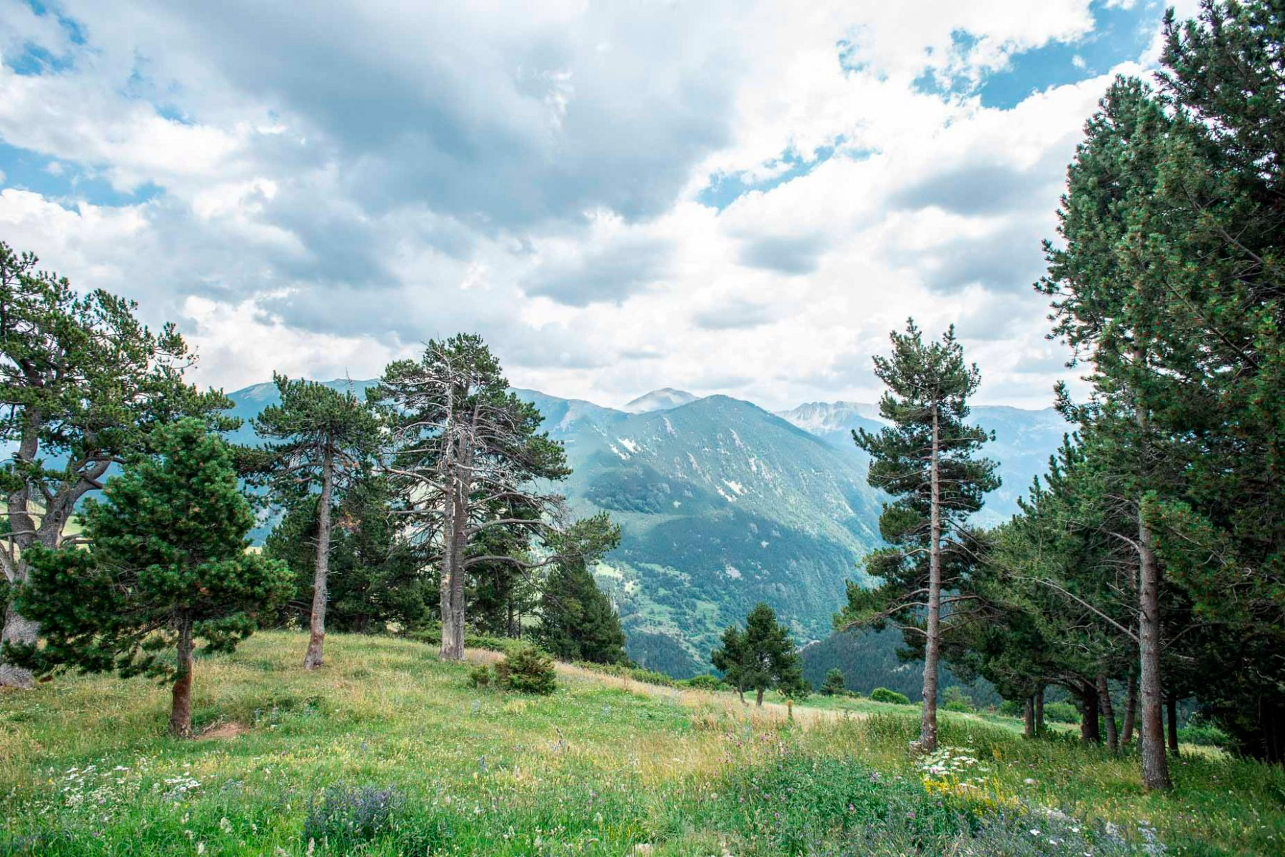 4-bedroom house for sale in Canillo · 12 of 15