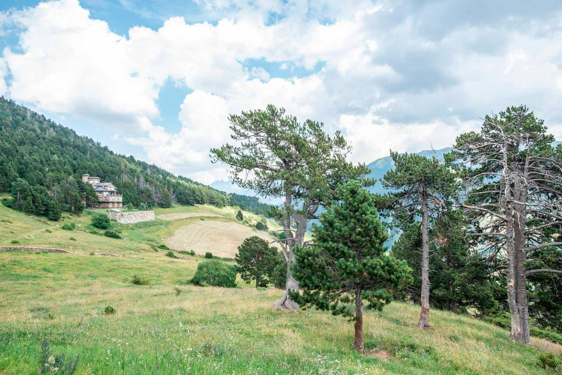 4-bedroom house for sale in Canillo · 10 of 15